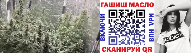 Дистиллят ТГК концентрат  Купить закладки  Судогда 