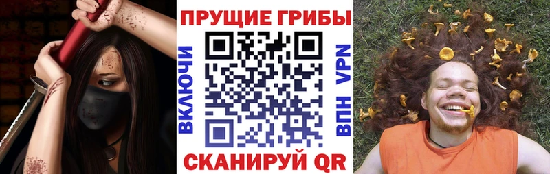 Галлюциногенные грибы прущие грибы  Купить где  Судогда 