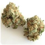 Шишки "White Widow"  (Белая вдова)  Гидропоника -  Бошка VHQ в Судогде